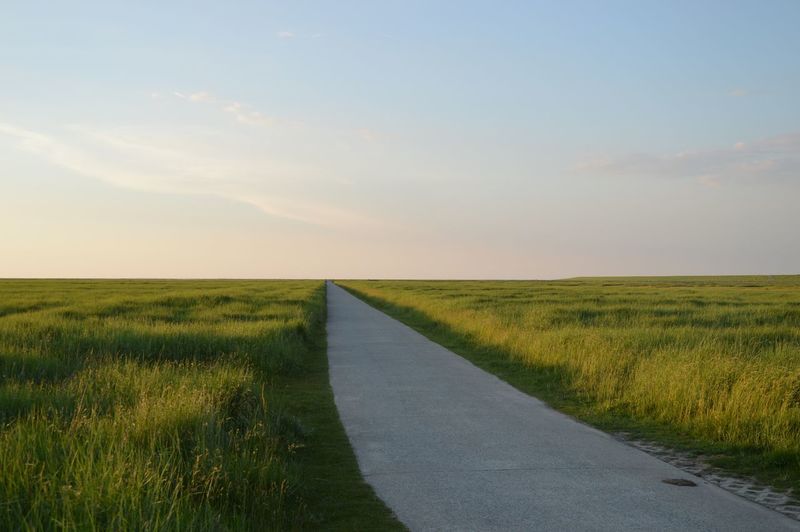 Empty road amidst grassy field against sky