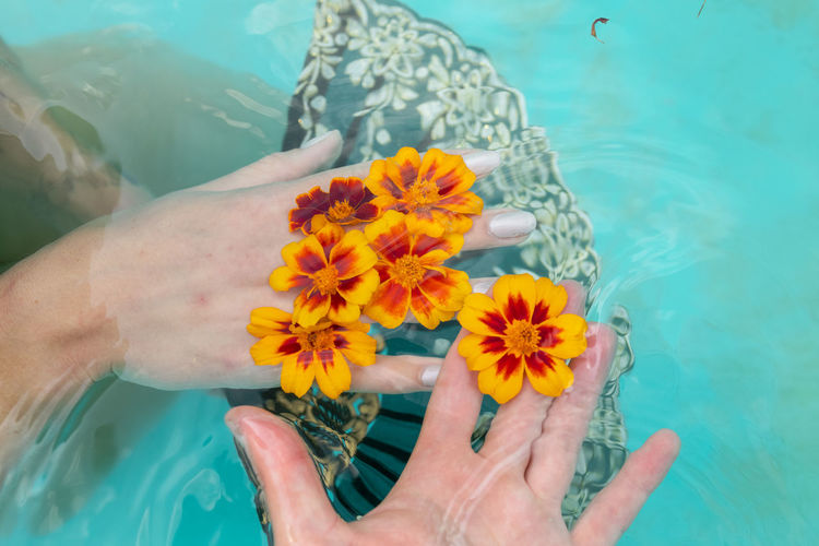 Cropped hand of man and woman holding flower in swimming pool