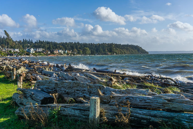 Spray fills the air from waves crashing on logs in normandy park, washington.