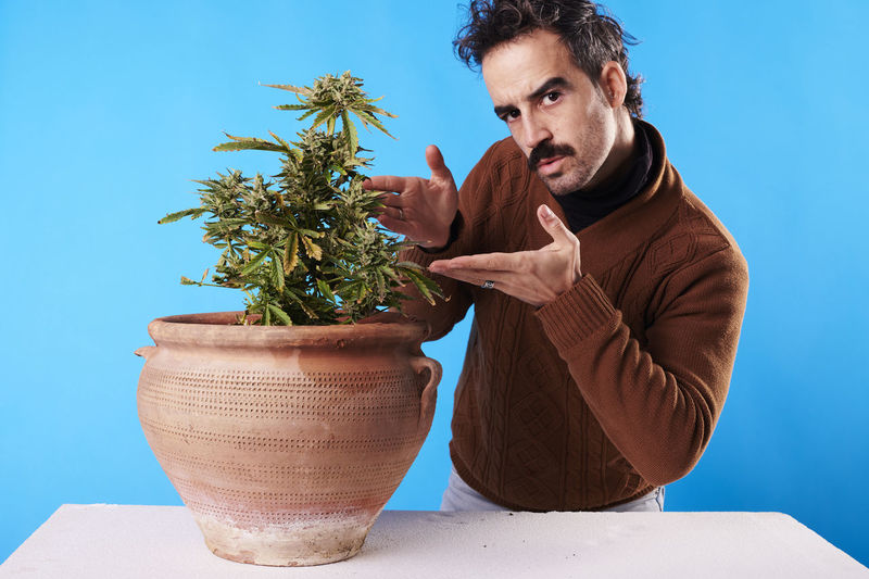 Portrait of man holding potted plant against blue background