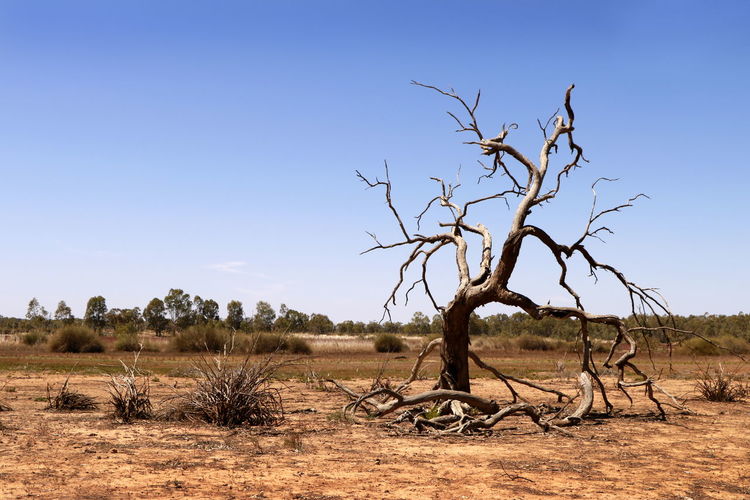 natural environment