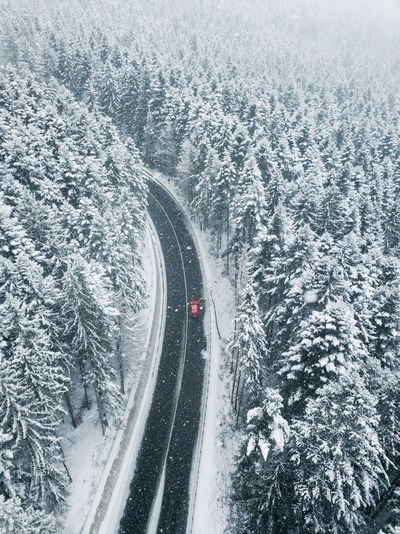 Aerial view of snow covered forest. a red car going between the trees on road. nature travel concept