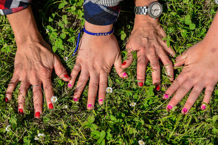Cropped hands of female friends with nail polish on grassy field