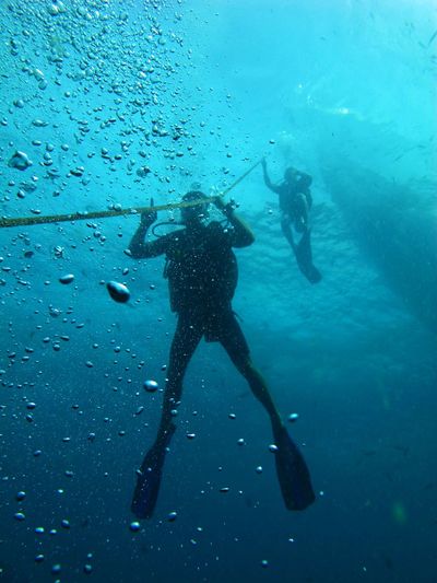 Low angle view of people diving undersea