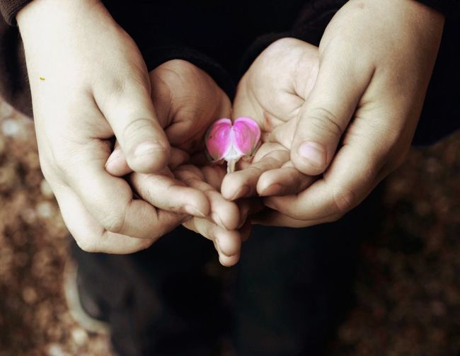 Low section of siblings holding bleeding heart flower