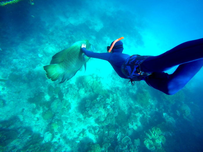 High angle view of man touching fish swimming in sea