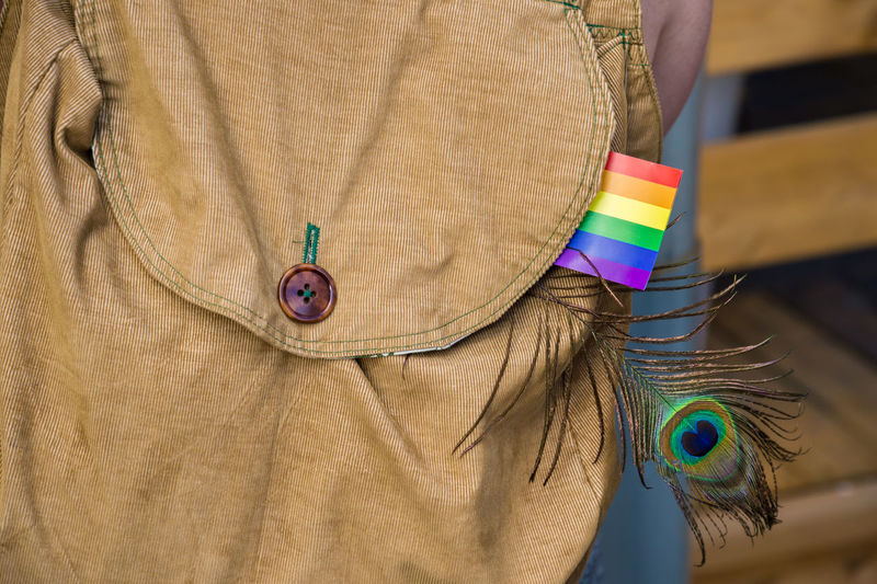 Close-up of rainbow flag and peacock feather in backpack