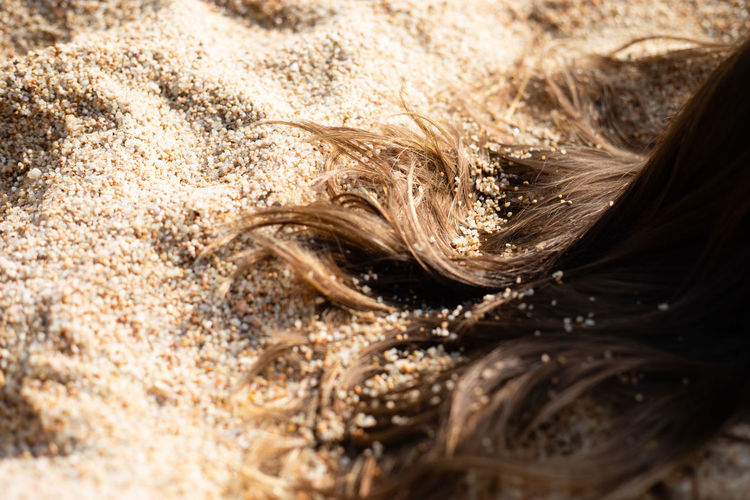 Cropped hair of woman on sand
