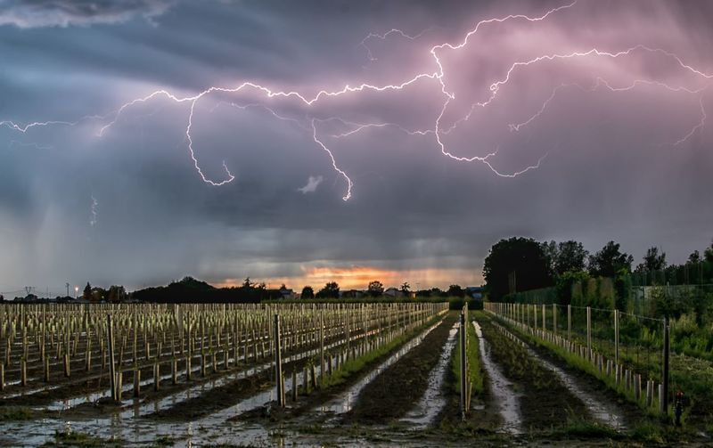 Panoramic shot of lightning over field