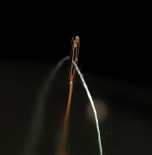 Close-up of needle and thread