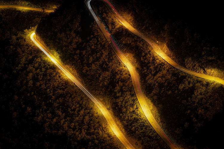 Light trails on road amidst trees at night