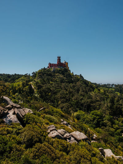 Castle on tree by mountain against clear sky