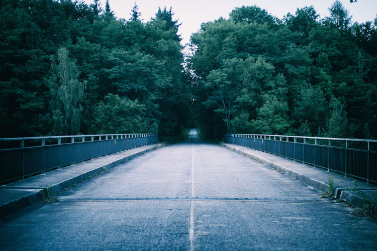 Empty bridge leading into the woods in stuttgart, germany