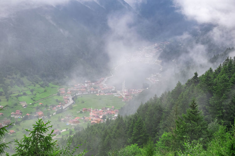 Panoramic view of trees and mountains against sky. uzungol landscape in trabzon.