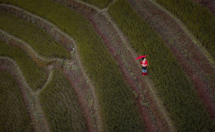 Aerial view of woman wearing traditional clothing standing in farm