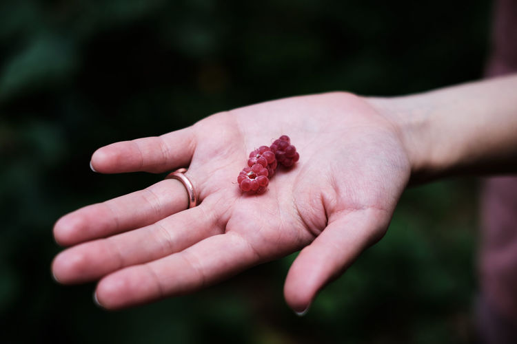 Cropped hand of woman holding fruit