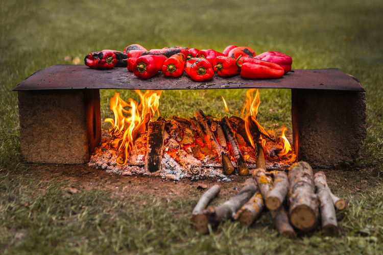 Scenic view of baked red peppers on hot iron plate outdoors with open fire