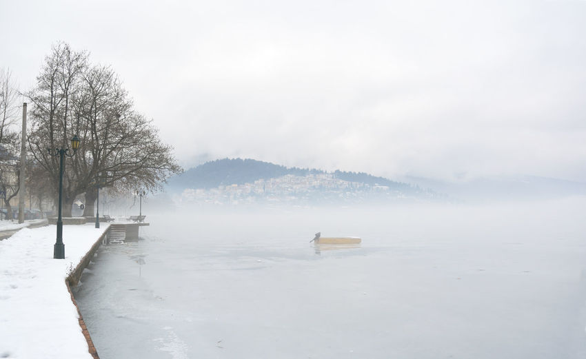 Winter scene in town with frozen lake in a misty day