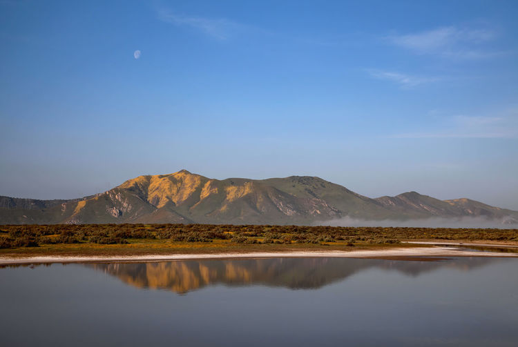 reflection