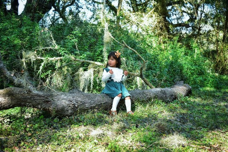 Full length of young girl standing by tree in forest