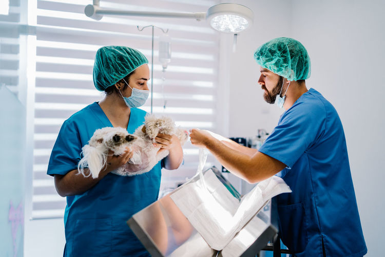 Female assistant in uniform standing with anesthetized cute dog while male vet doctor cleaning operating table in room after surgery