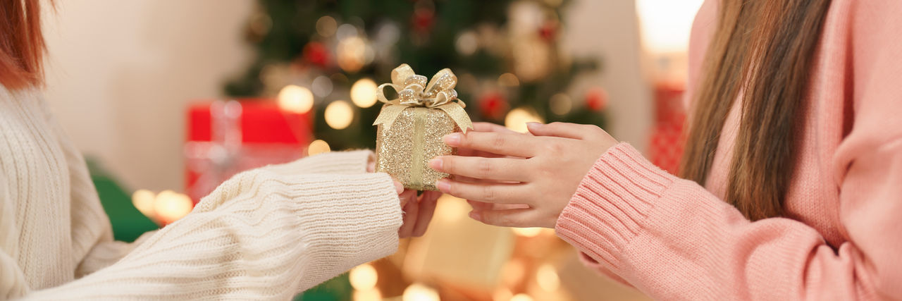 Midsection of woman holding christmas tree