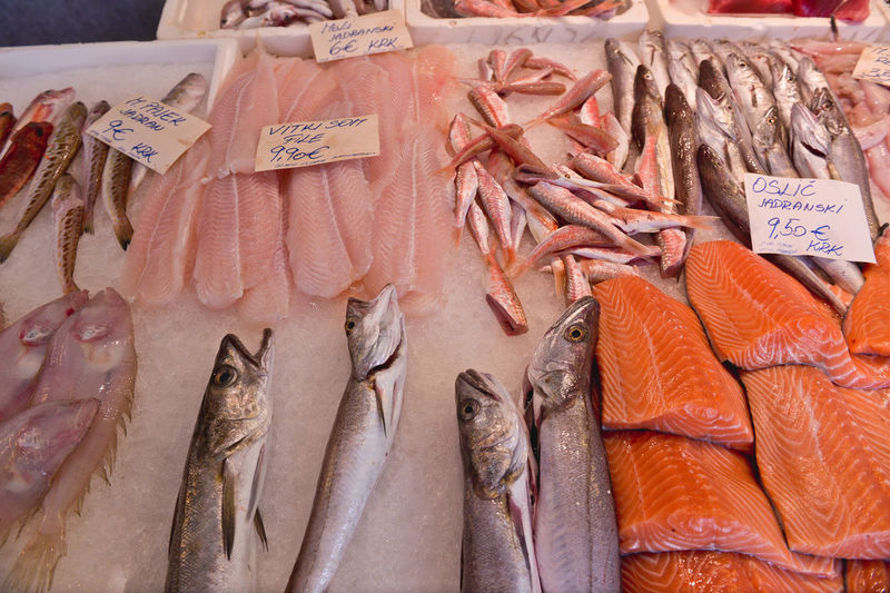 Close-up of seafood for sale