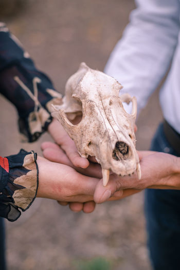 Midsection of couple holding animal skull