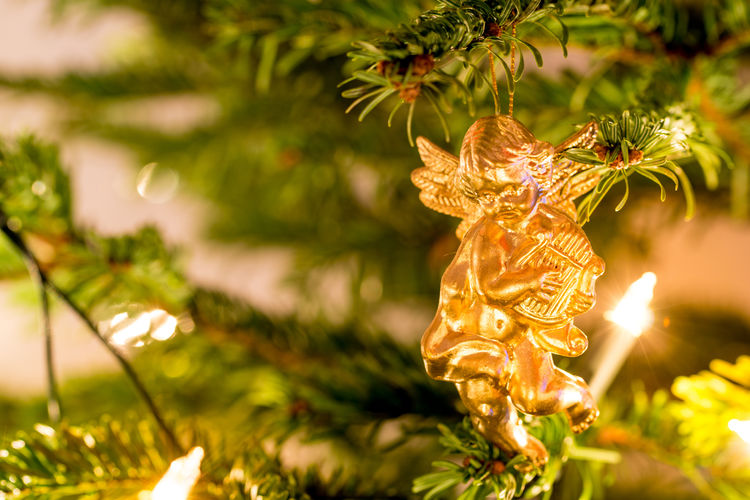 Close-up of decoration hanging on christmas tree