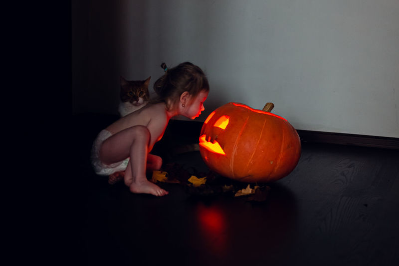 Little girl looking at the pumpkin.