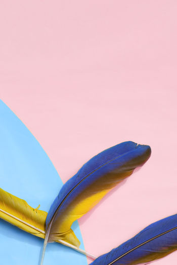 Close-up of yellow umbrella against blue sky