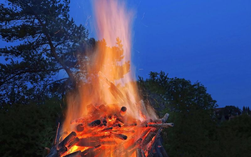 Bonfire against trees in forest against sky