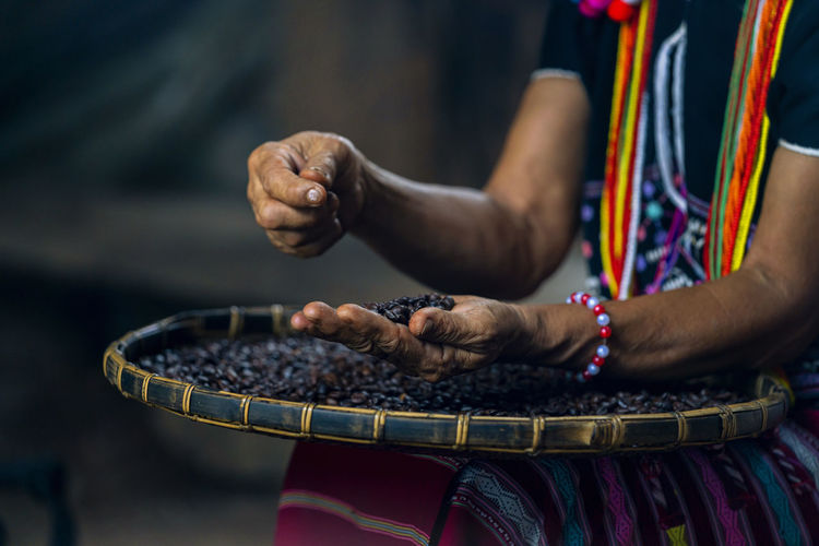 Hill tribe women sorting coffee beans. woman selecting roasted coffee bean.