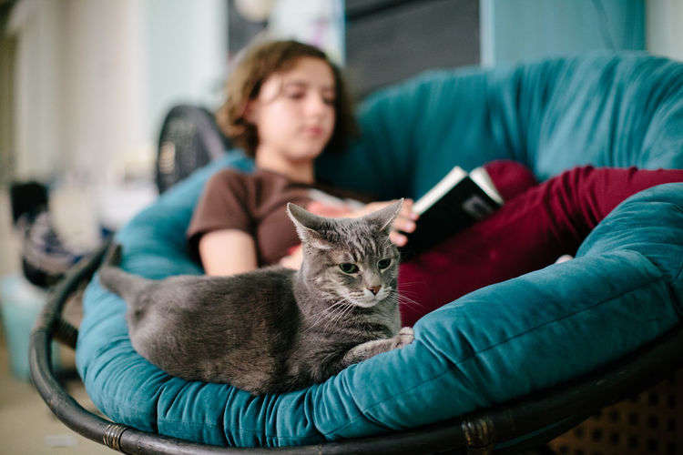Gray cat sits on a papasan chair with a teenage girl reading a book