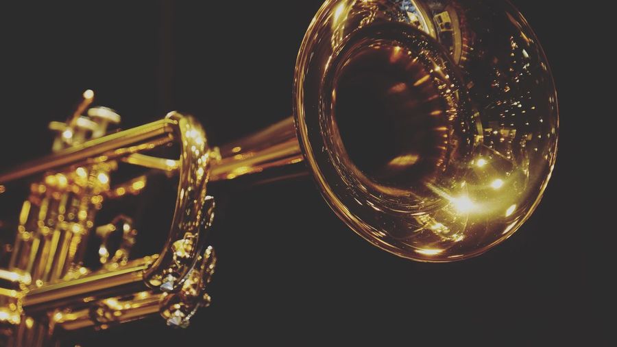 Close-up of golden trumpet against black background