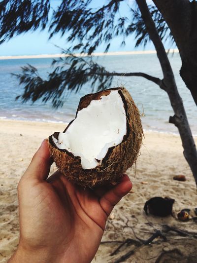 Cropped hand holding broken coconut at beach
