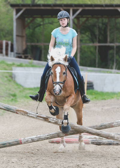 Female jockey jumping horse over hurdles