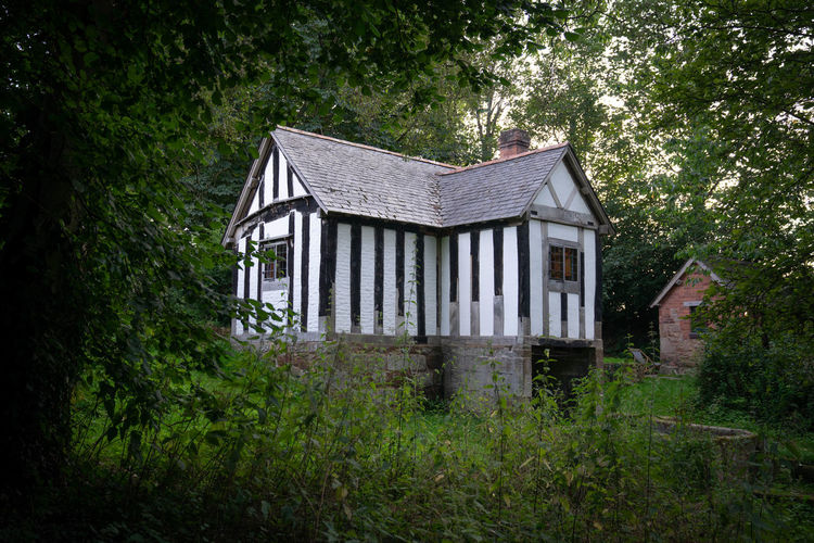 Woodland cottage in very secluded setting