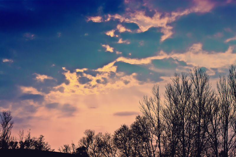 Low angle view of silhouette trees against dramatic sky