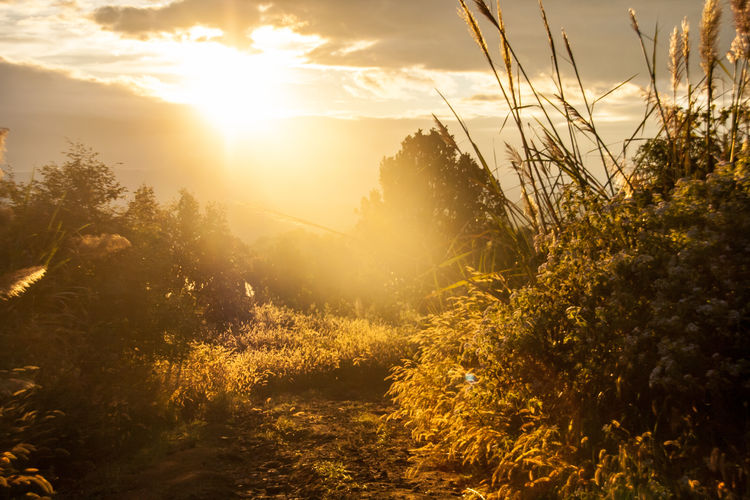 Scenic view of landscape against sky during sunset