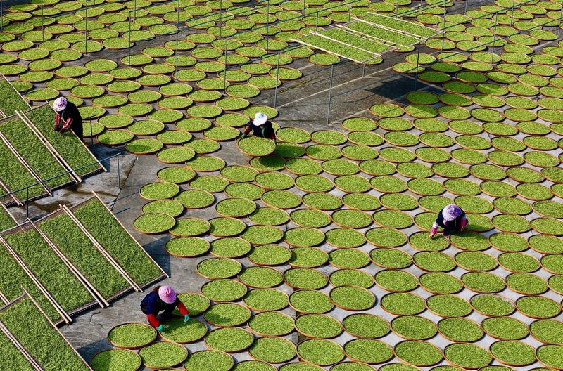 High angle view of people walking on footpath