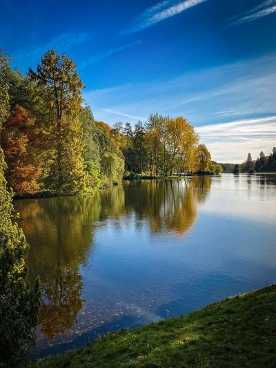 Scenic view of lake in forest against blue sky
