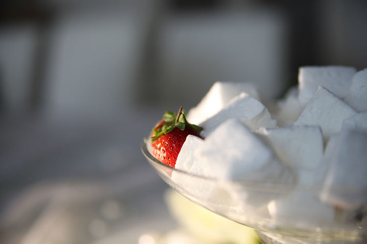 Close-up of strawberry with sugar cubes in bowl