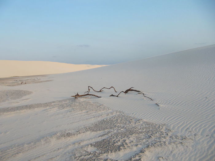 Scenic view of desert against sky during winter