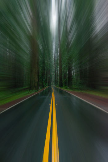 Selective blur wet road with yellow lines through redwood forest