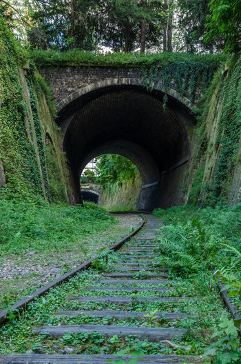 Footbridge over tunnel amidst trees