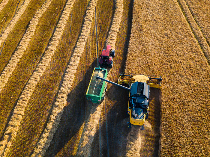 High angle view of tractors on agricultural field