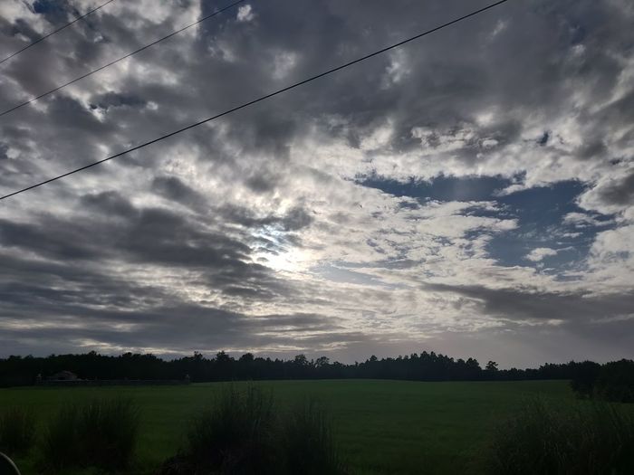 Scenic view of field against sky
