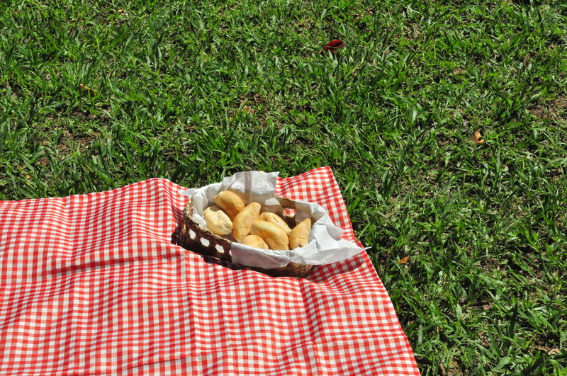 High angle view of bread in basket on picnic blanket at park