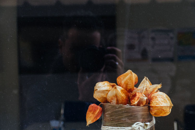 Reflection of man photographing winter cherries on glass